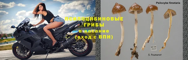 крисы Армянск