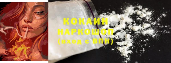 крисы Армянск