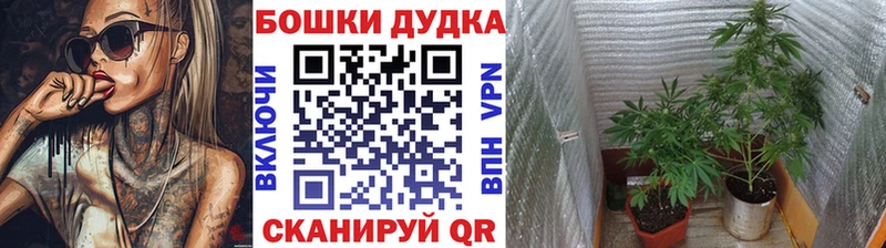 Каннабис THC 21%  Пыть-Ях 